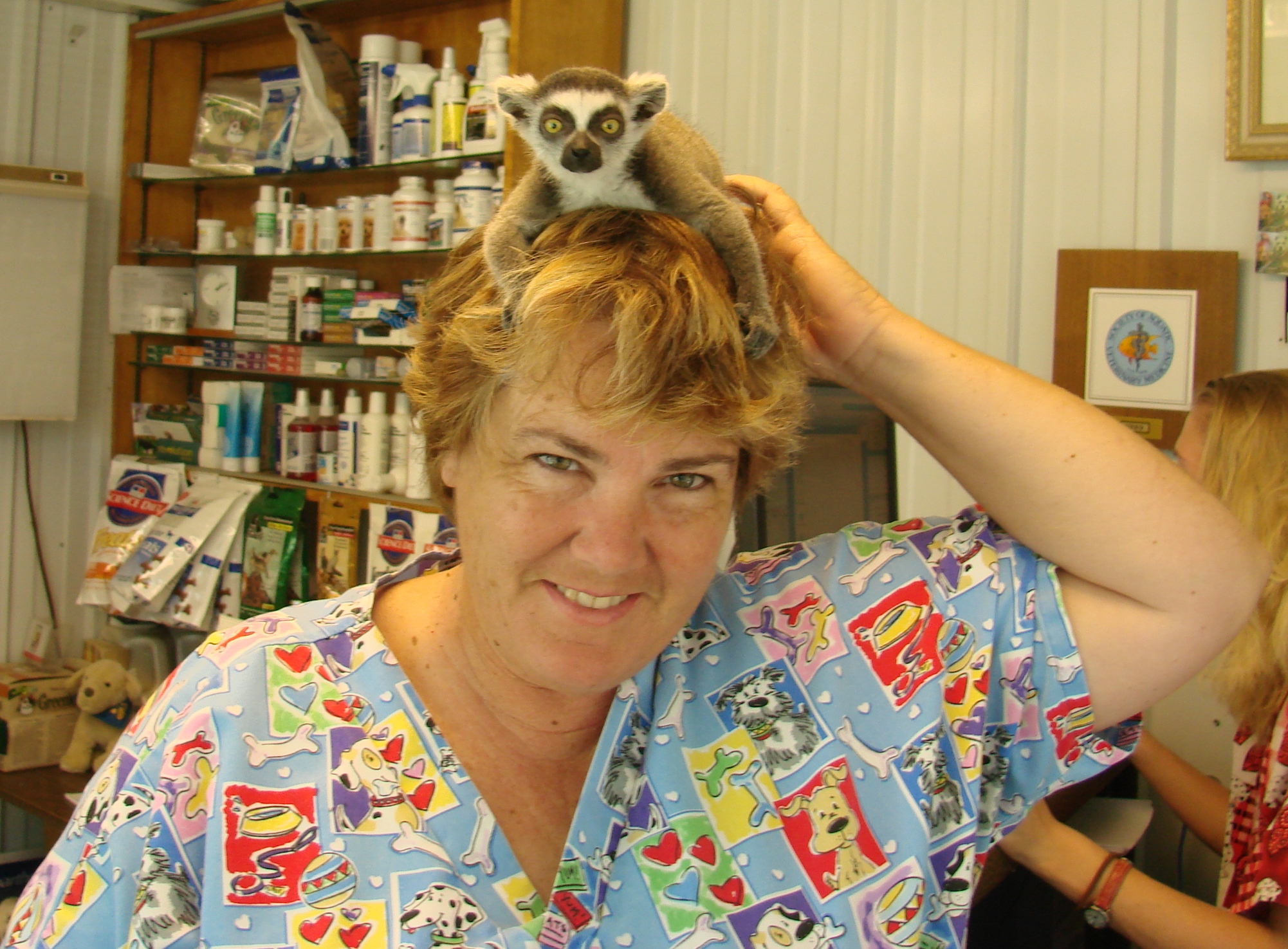 Dr. Maness with curious Zaboomafoo, the lemur