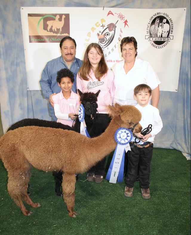 Family and Alpacas