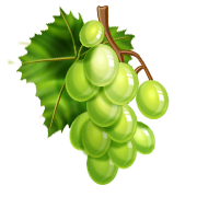 grapes